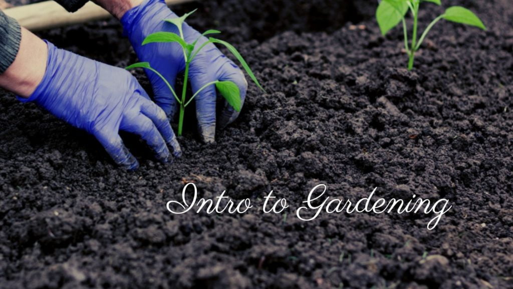 Green Gardening